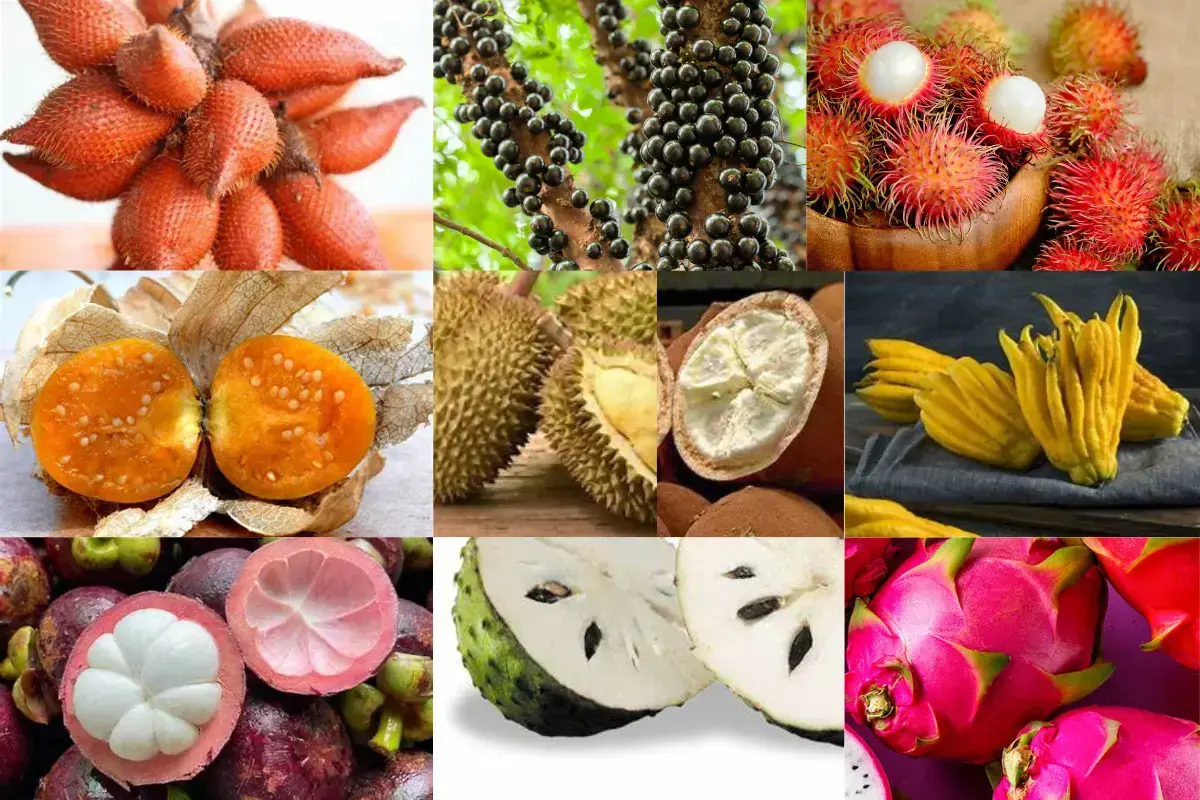 10 frutas raras